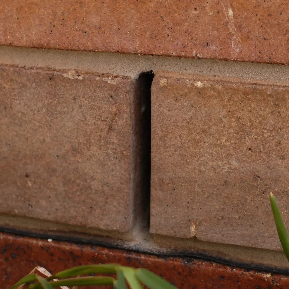 Brick weep holes in masonry wall